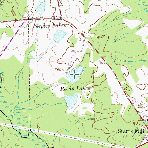 Topographic Map of Reeds Lakes, GA
