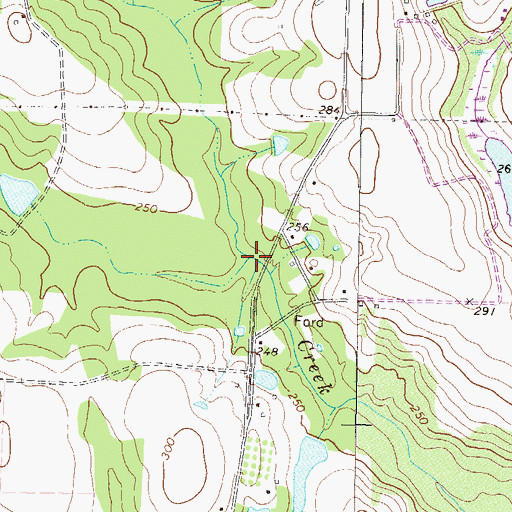 Topographic Map of Reedy Branch, GA