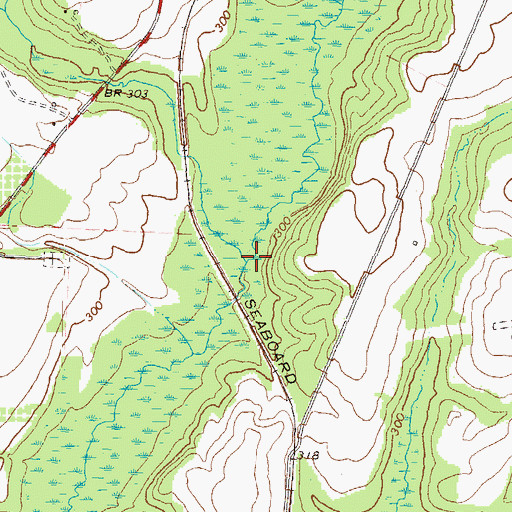 Topographic Map of Reedy Branch, GA