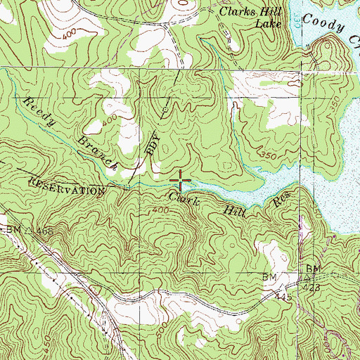 Topographic Map of Reedy Branch, GA