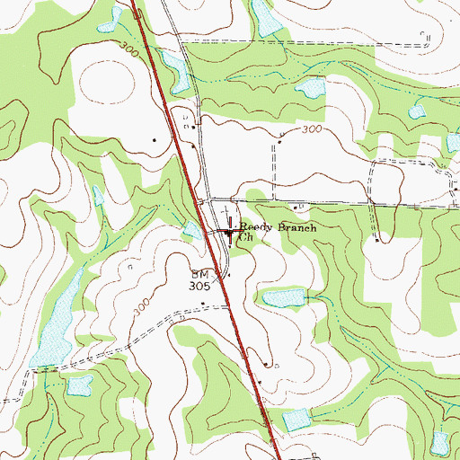 Topographic Map of Reedy Branch Church, GA