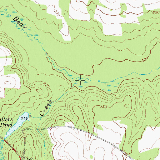 Topographic Map of Reedy Creek, GA