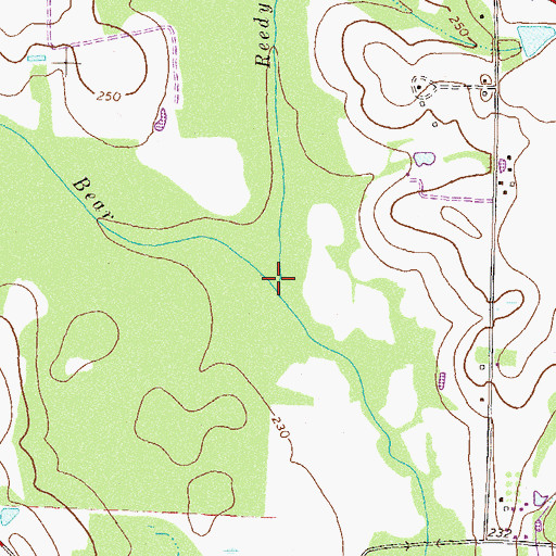 Topographic Map of Reedy Creek, GA
