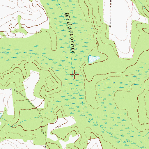 Topographic Map of Reedy Creek, GA