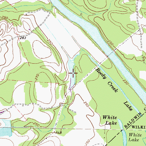 Topographic Map of Reedy Creek Lake, GA