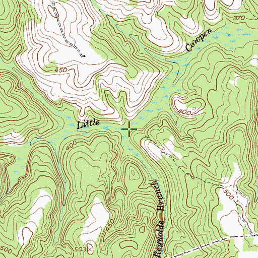 Topographic Map of Reynolds Branch, GA