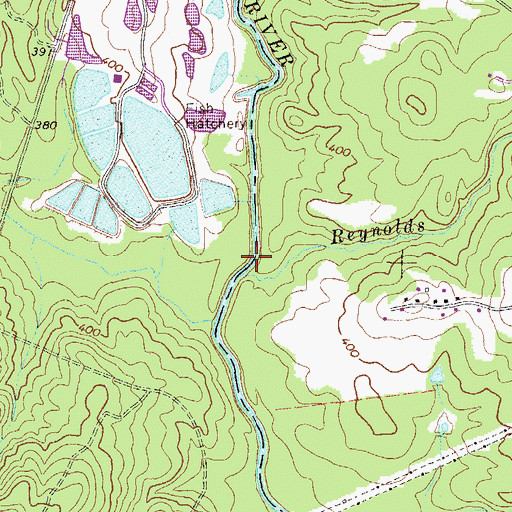 Topographic Map of Reynolds Branch, GA