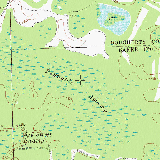 Topographic Map of Reynolds Swamp, GA