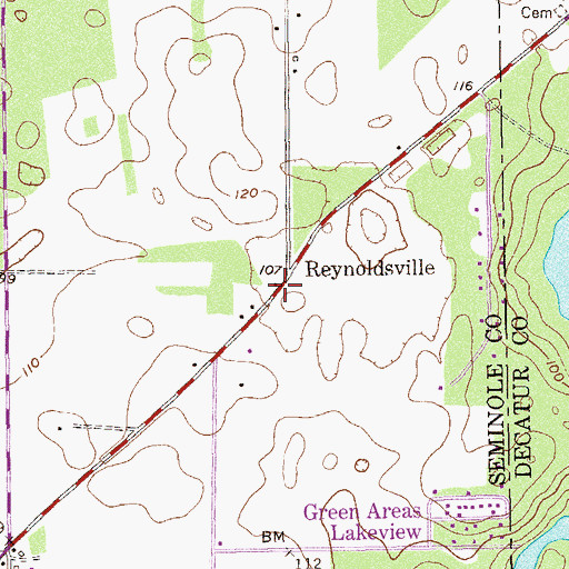 Topographic Map of Reynoldsville, GA