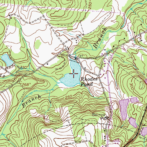 Topographic Map of Rhodes Pond, GA