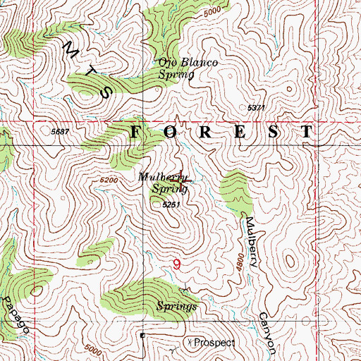 Topographic Map of Mulberry Spring, AZ