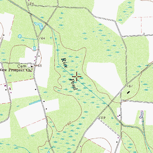 Topographic Map of Rice Pond, GA