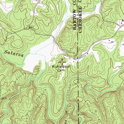 Topographic Map of Richardson Family Cemetery, GA