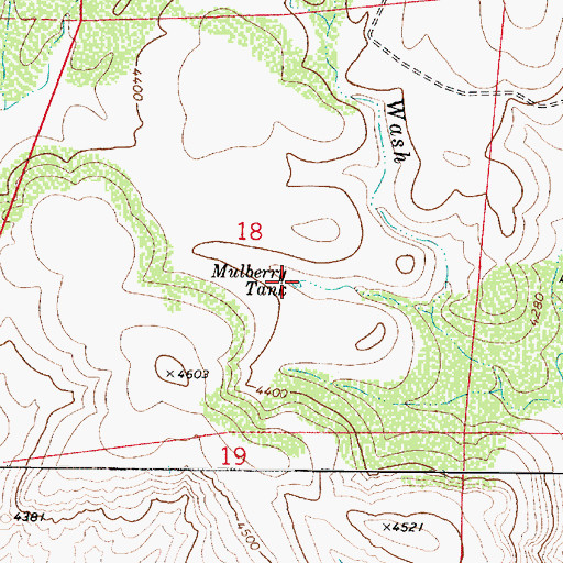 Topographic Map of Mulberry Tank, AZ