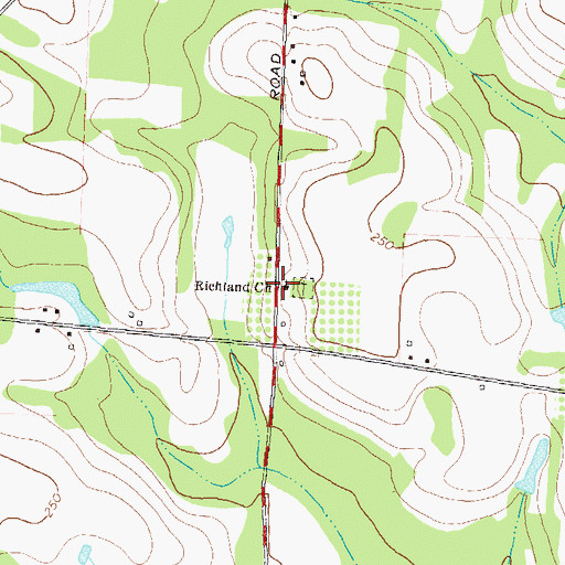 Topographic Map of Richland Church, GA