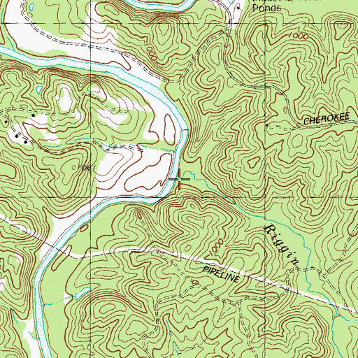 Topographic Map of Riggin Creek, GA
