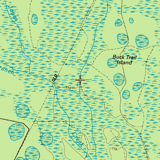 Topographic Map of Riggins Branch, GA