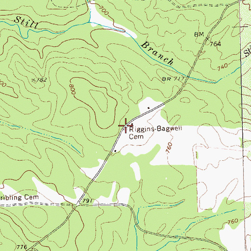 Topographic Map of Riggins-Bagwell Cemetery, GA