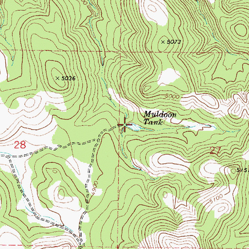 Topographic Map of Muldoon Tank, AZ