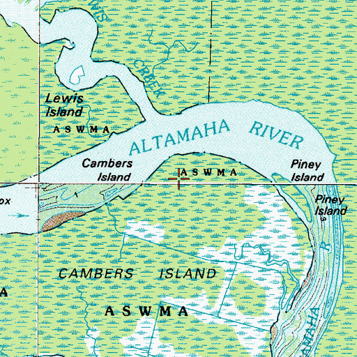 Topographic Map of River Swamp, GA