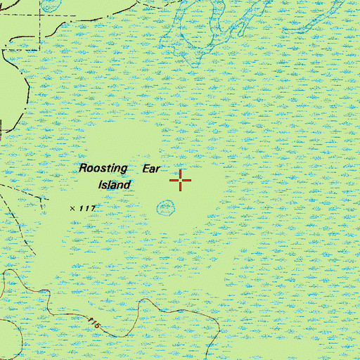Topographic Map of Roasting Ear Island, GA