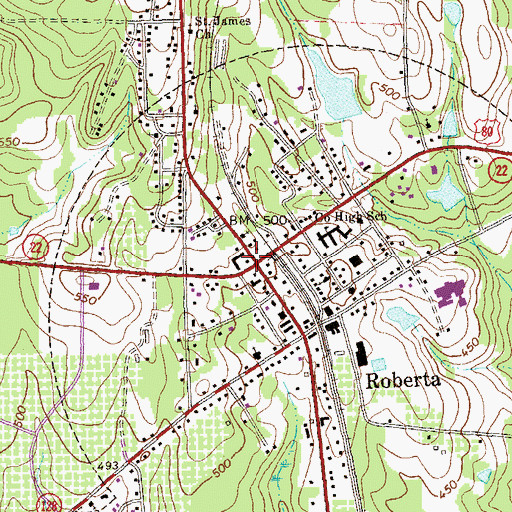 Topographic Map of Roberta, GA