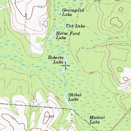 Topographic Map of Roberts Lake, GA