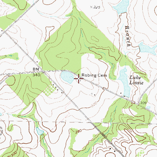Topographic Map of Robing Cemetery, GA