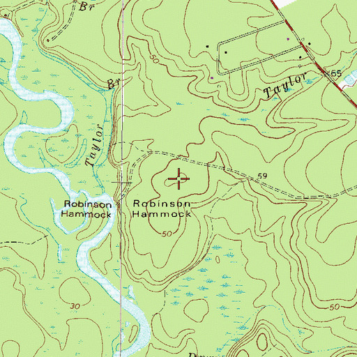 Topographic Map of Robinson Hammock, GA