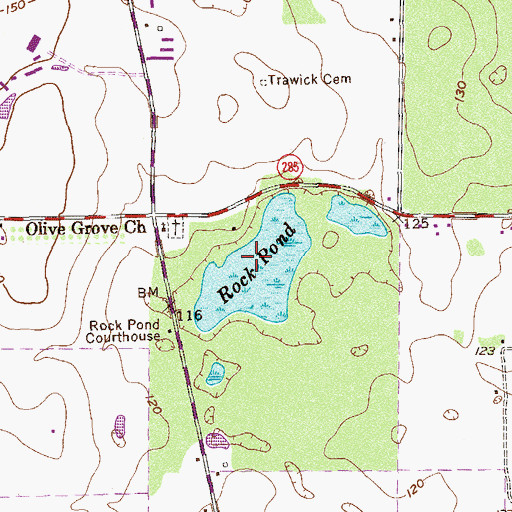 Topographic Map of Rock Pond, GA
