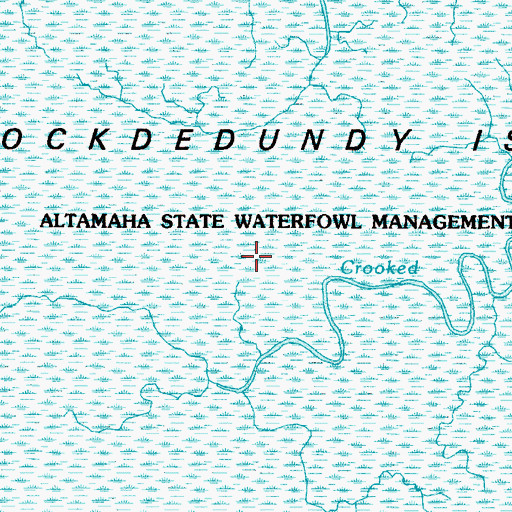 Topographic Map of Rockdedundy Island, GA