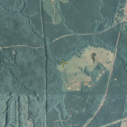 Aerial/Satellite Image of Rocky Branch, GA