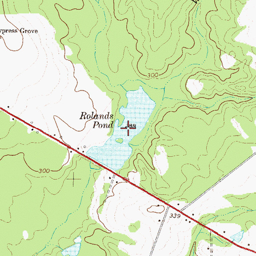 Topographic Map of Rolands Pond, GA