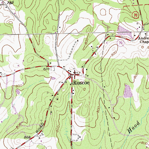 Topographic Map of Roscoe, GA