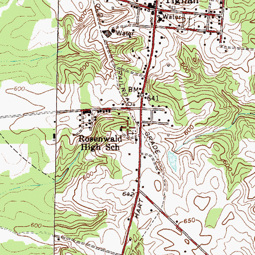 Topographic Map of Rosenwald High School, GA