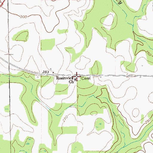 Topographic Map of Rosinvick Church, GA