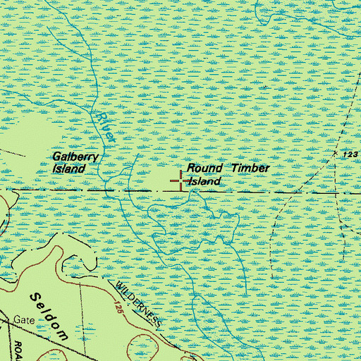 Topographic Map of Round Timber Island, GA