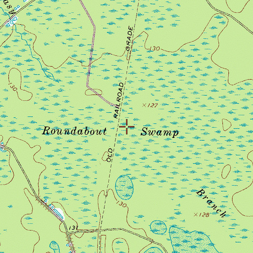 Topographic Map of Roundabout Swamp, GA