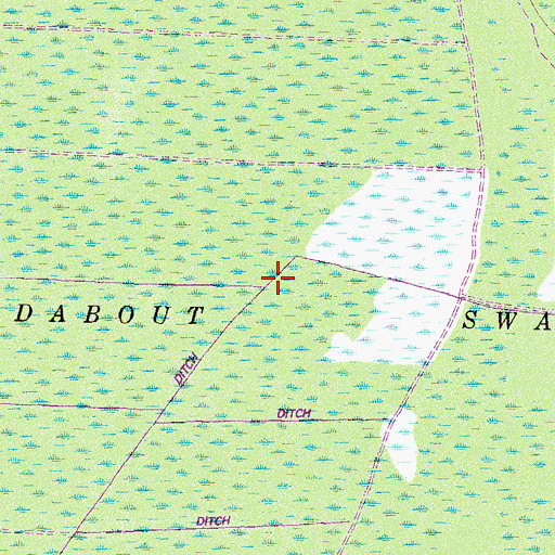 Topographic Map of Roundabout Swamp, GA