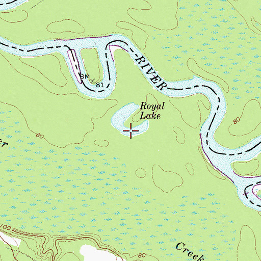 Topographic Map of Royal Lake, GA