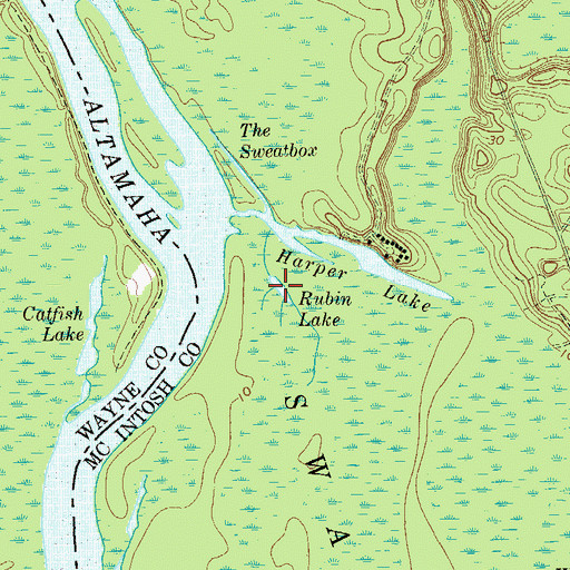Topographic Map of Rubin Lake, GA