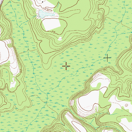 Topographic Map of Runs Branch, GA