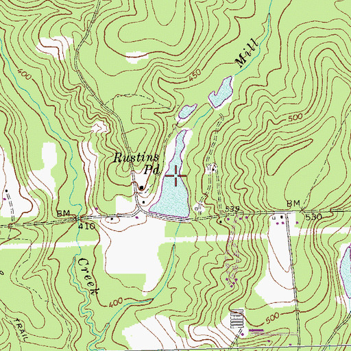 Topographic Map of Rustins Pond, GA