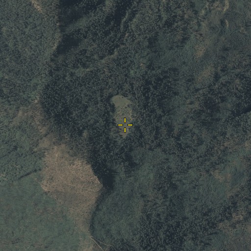 Aerial/Satellite Image of Murphy Ranch, AZ