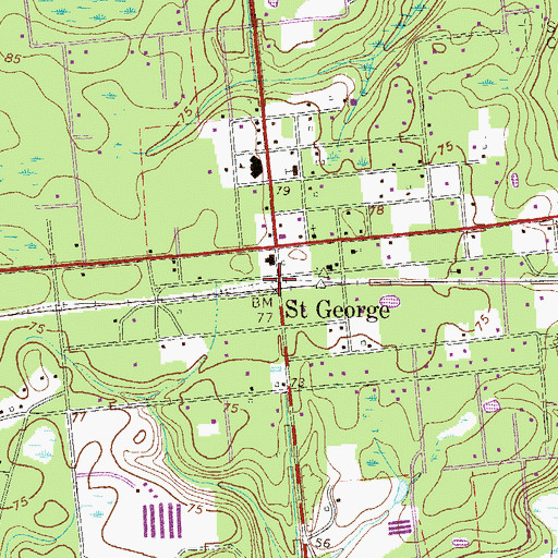 Topographic Map of Saint George, GA