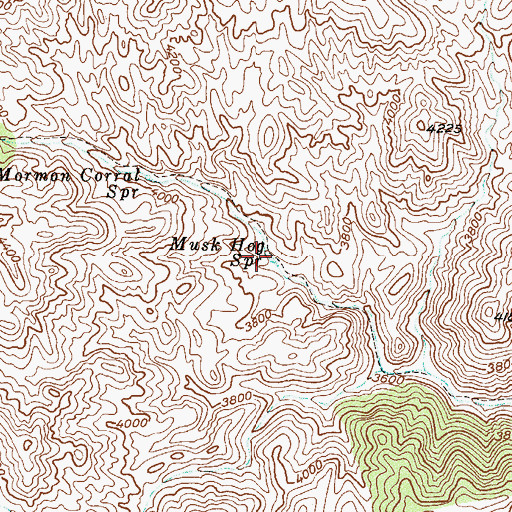 Topographic Map of Musk Hog Spring, AZ