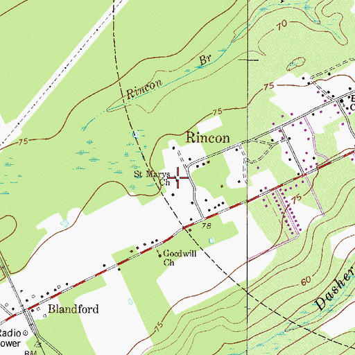 Topographic Map of Saint Marys Church, GA
