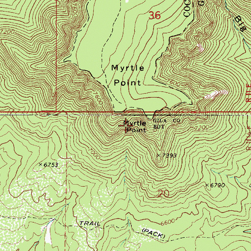 Topographic Map of Myrtle Point, AZ