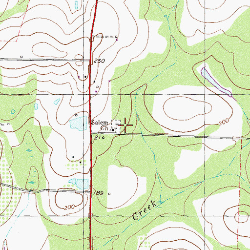 Topographic Map of Salem Church, GA