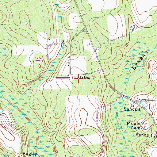 Topographic Map of Salem Church, GA